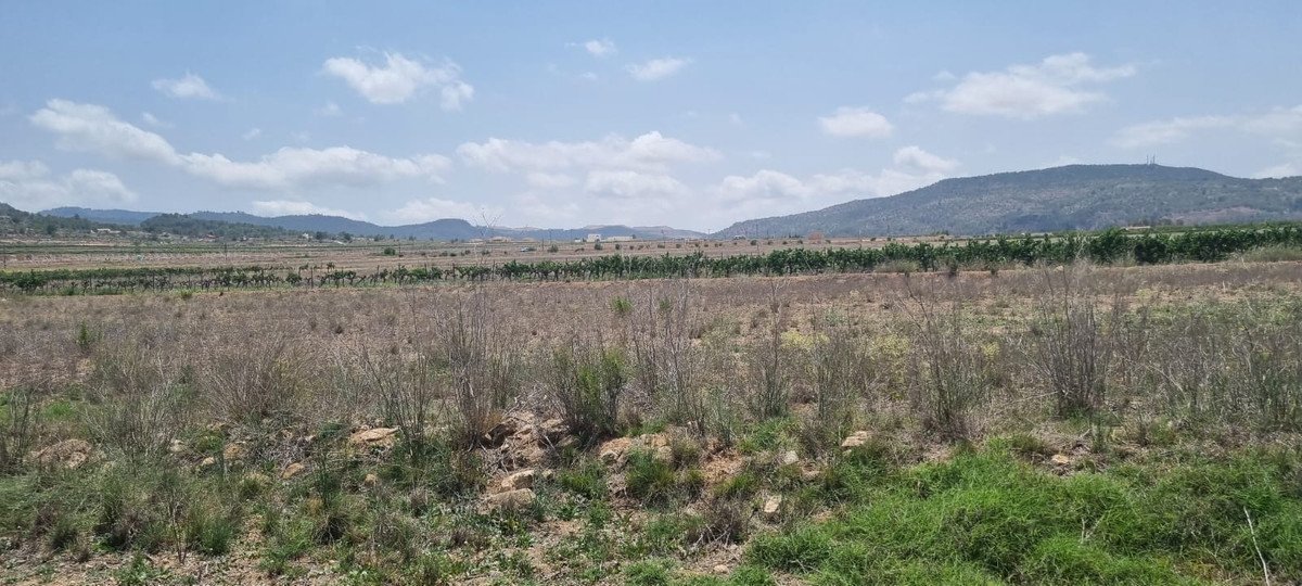 Land in Pinoso