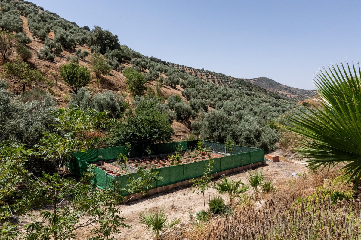 5 Bed Finca - Cortijo in Cuevas De San Marcos
