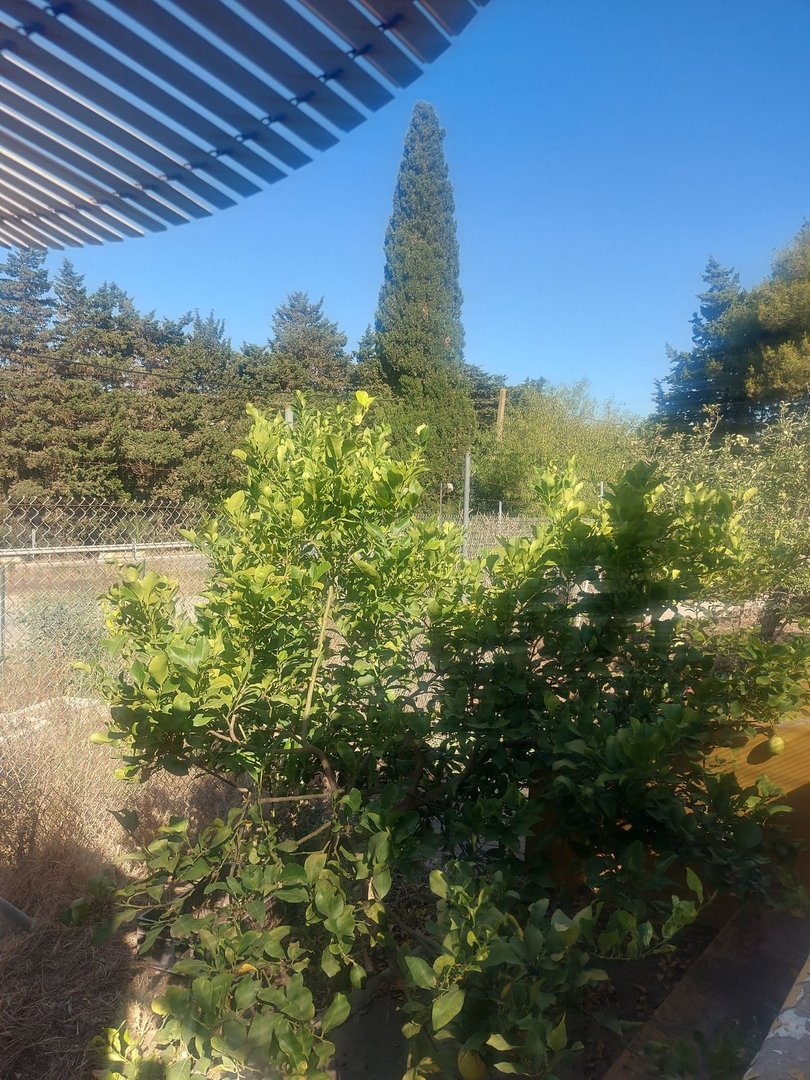 3 Bed Finca - Cortijo in San Enrique