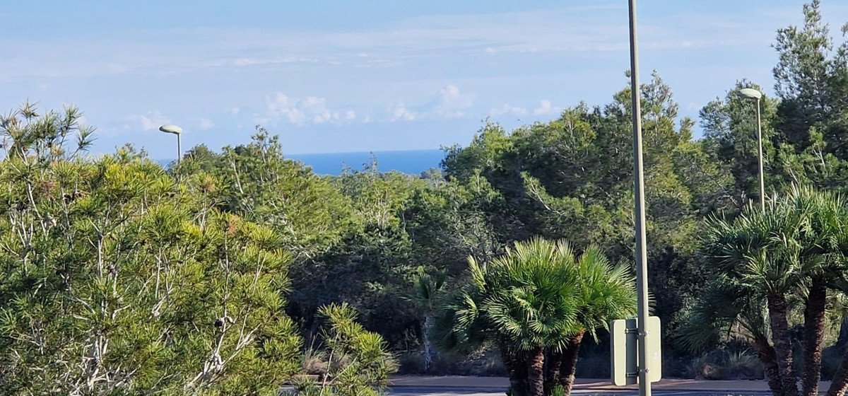3 Bed Ground Floor Apartment in Las Colinas Golf
