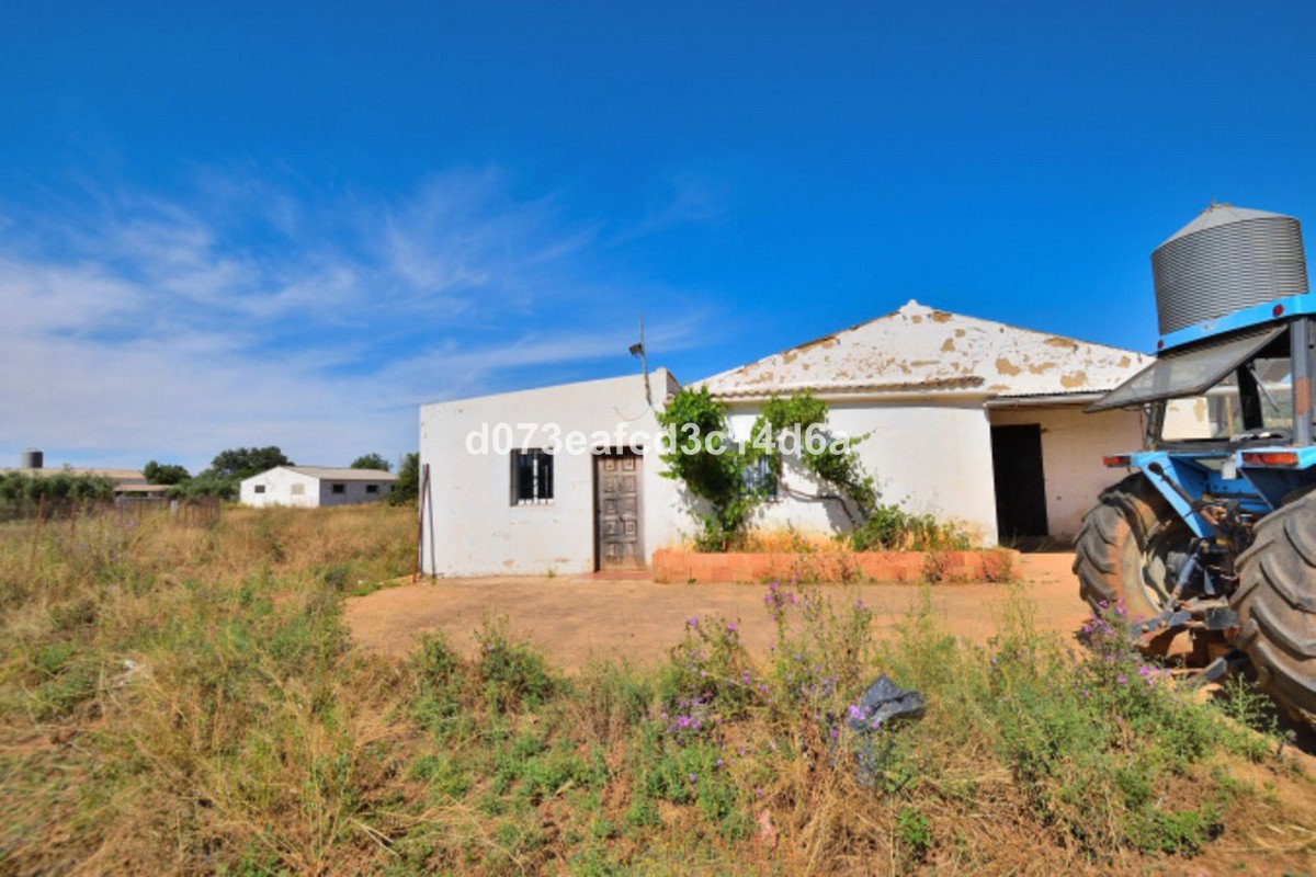 1 Bed Finca - Cortijo in Ronda
