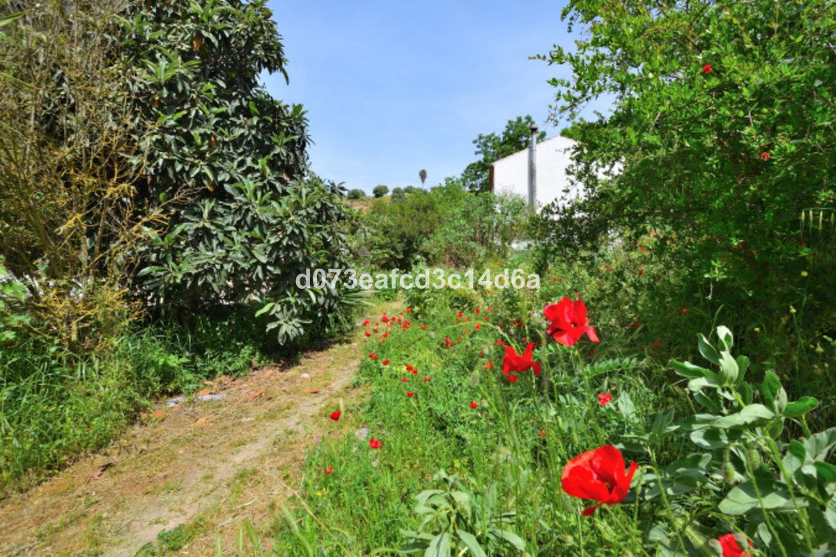 4 Bed Detached Villa in Arriate