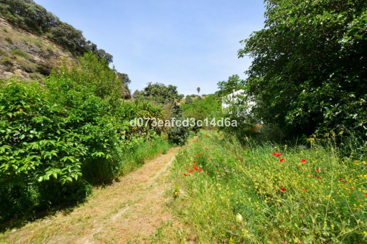 4 Bed Detached Villa in Arriate