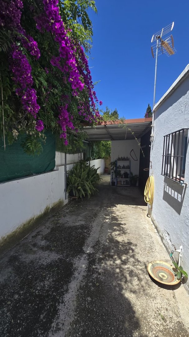 3 Bed Detached Villa in Elviria