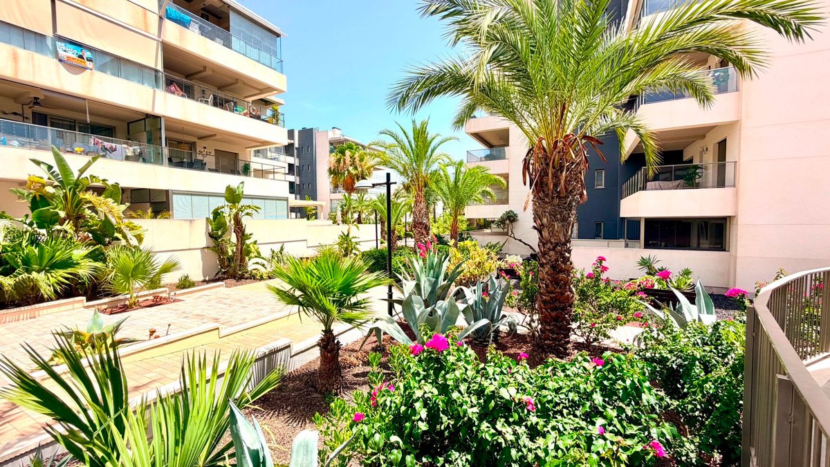 2 Bed Ground Floor Apartment in La Zenia