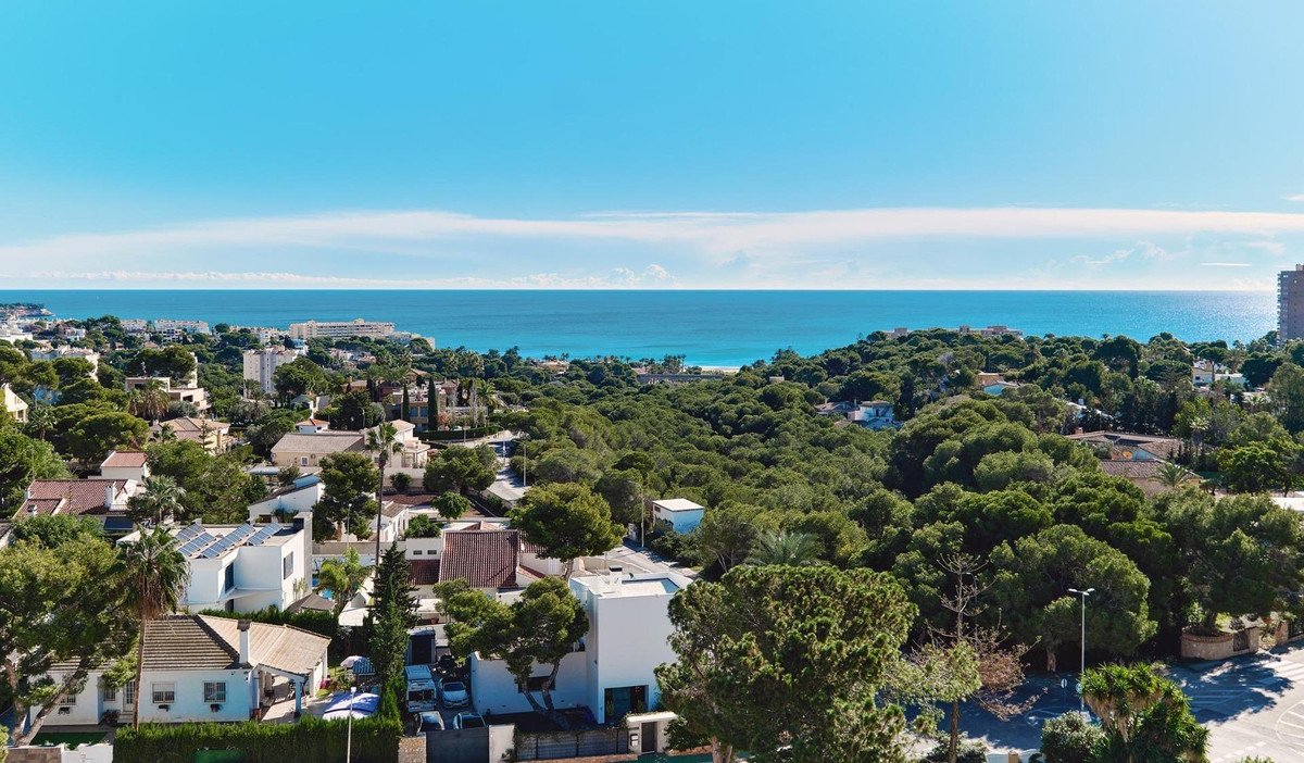 2 Bed Ground Floor Apartment in Campoamor