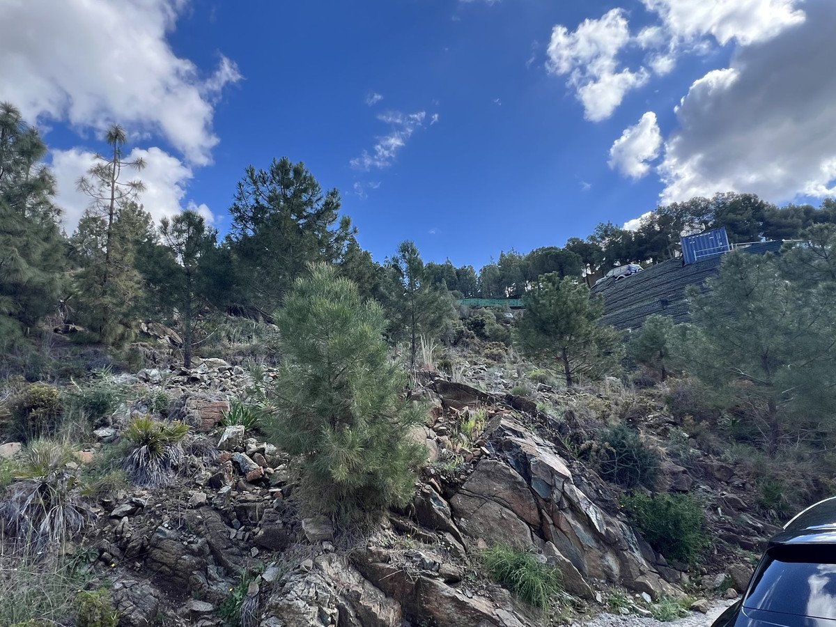 Residential Plot in El Madroñal