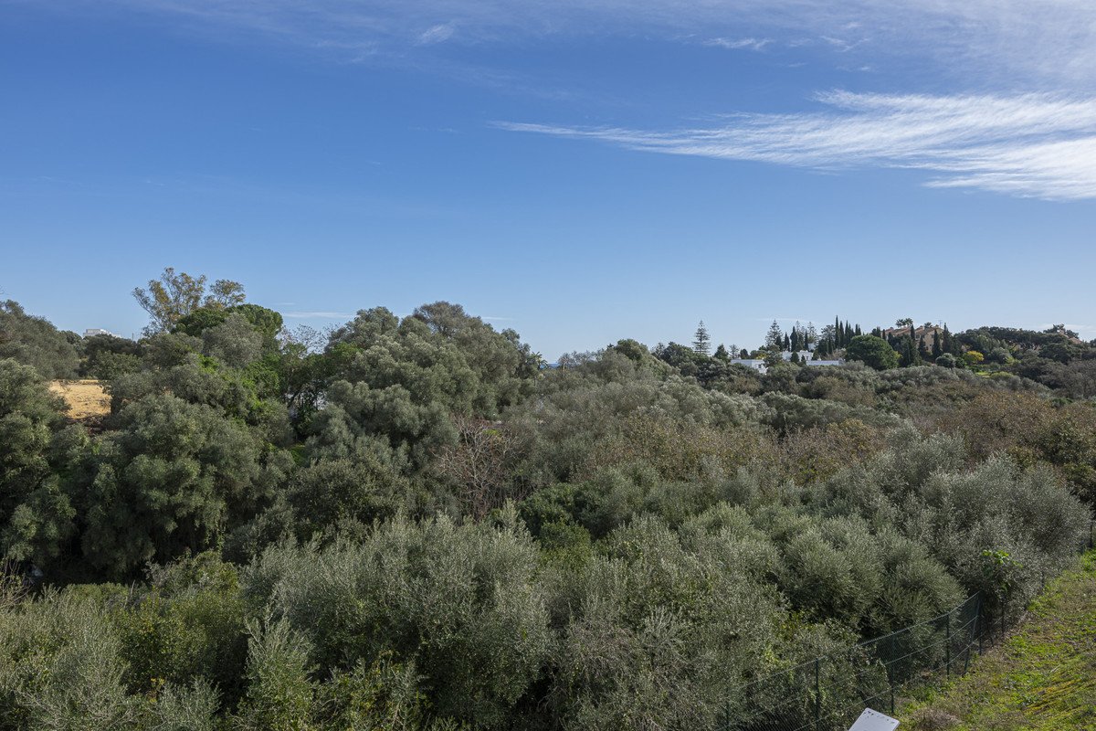 4 Bed Middle Floor Apartment in Sotogrande