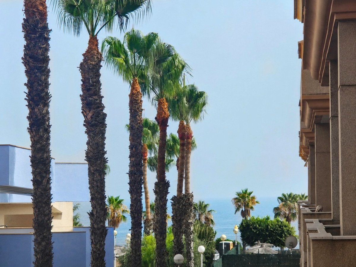 2 Bed Ground Floor Apartment in Orihuela Costa