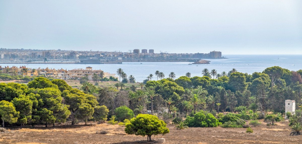2 Bed Ground Floor Apartment in Punta Prima