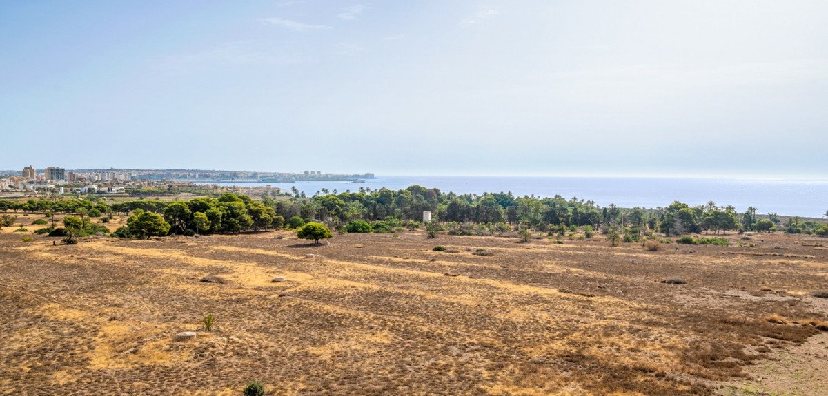 2 Bed Ground Floor Apartment in Punta Prima