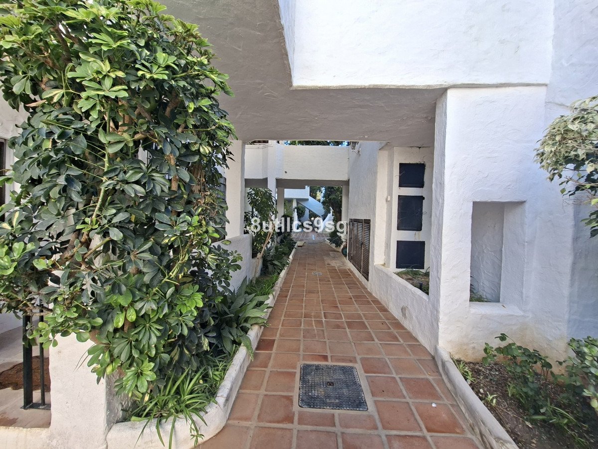 3 Bed Ground Floor Apartment in Nueva Andalucía