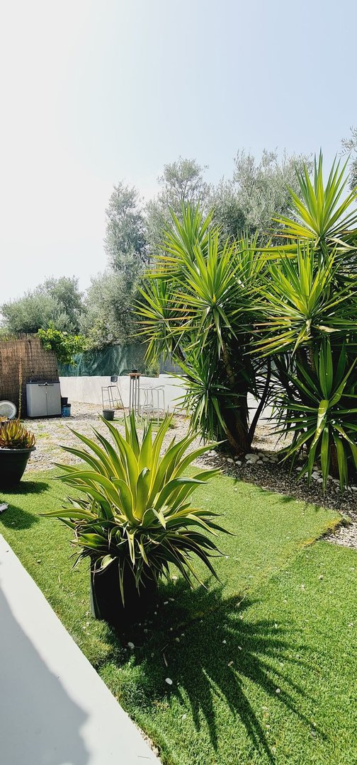 4 Bed Detached Villa in Alhaurín de la Torre