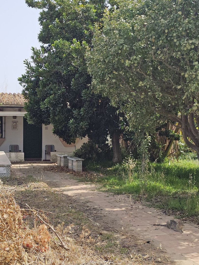 Residential Plot in Nerja