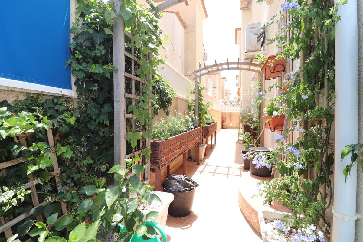 4 Bed Detached Villa in Algorfa
