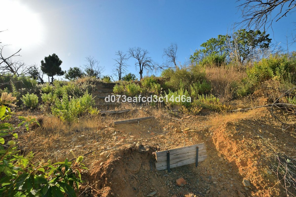 Land in Cartajima
