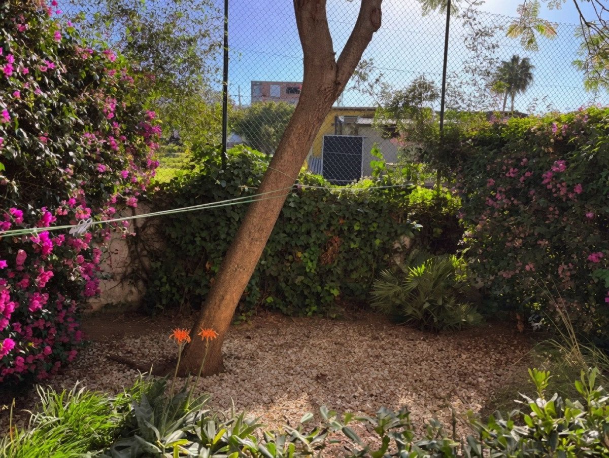 3 Bed Semi-Detached House in San Enrique