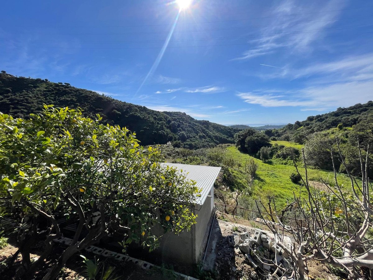 3 Bed Farm in Estepona