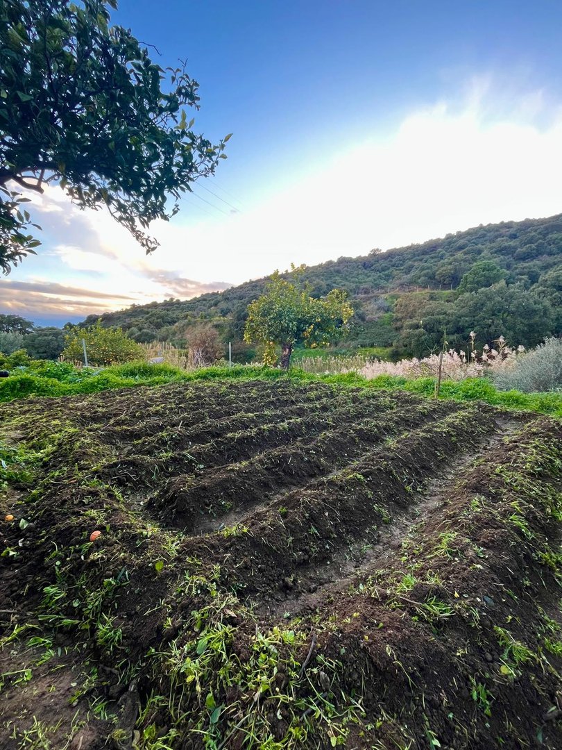3 Bed Farm in Estepona
