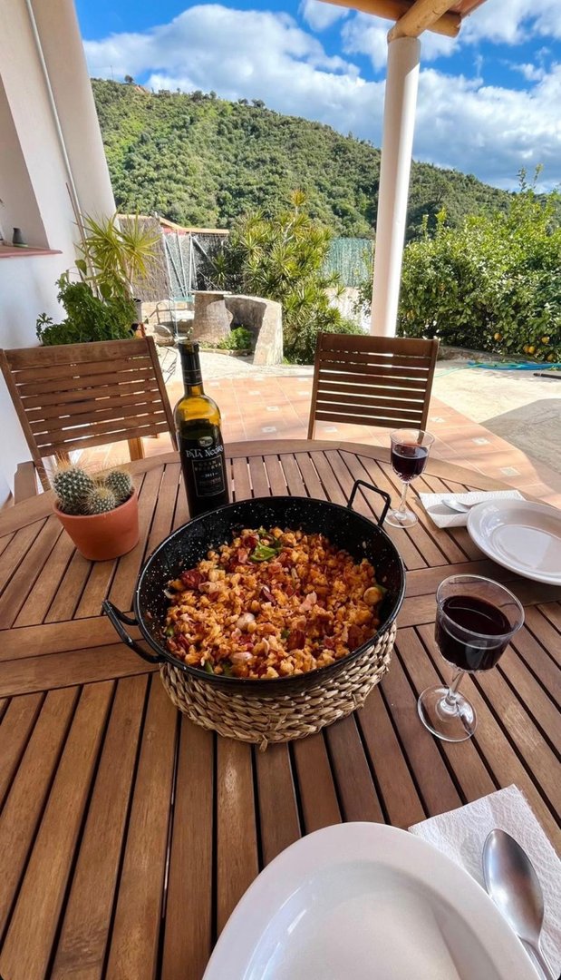 3 Bed Farm in Estepona