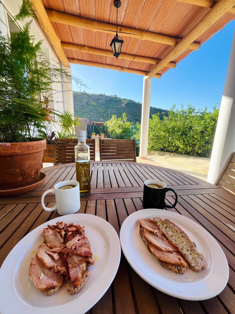 3 Bed Farm in Estepona