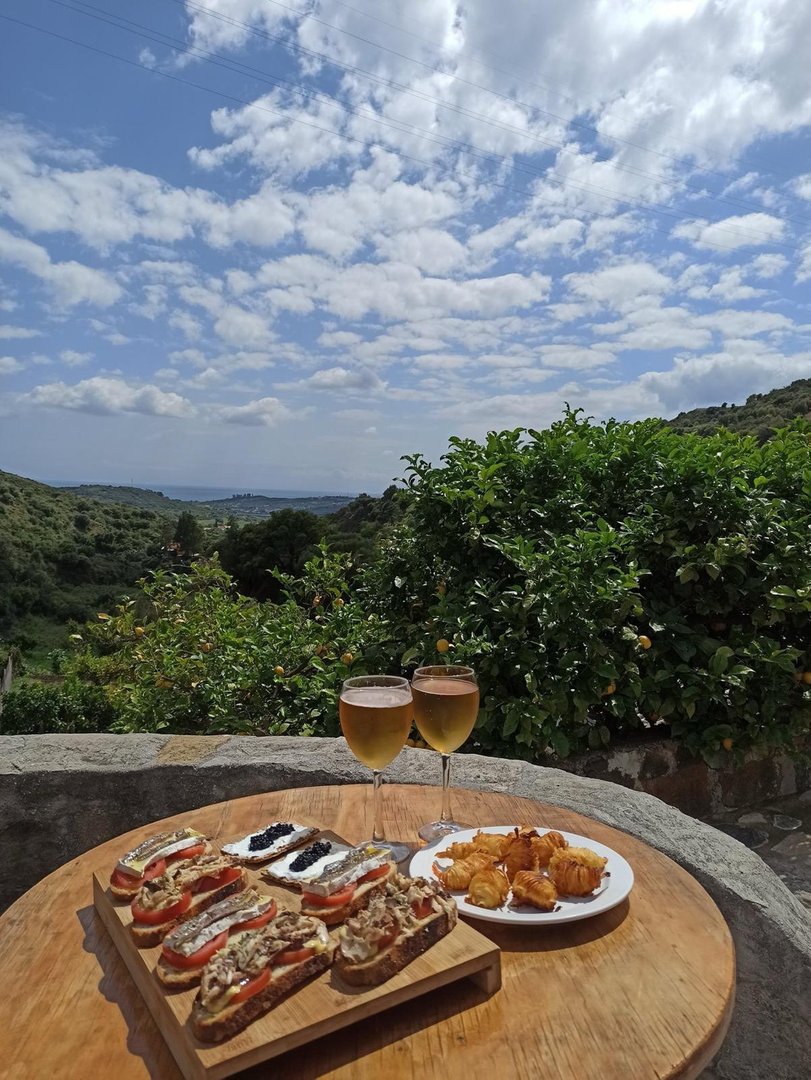 3 Bed Farm in Estepona