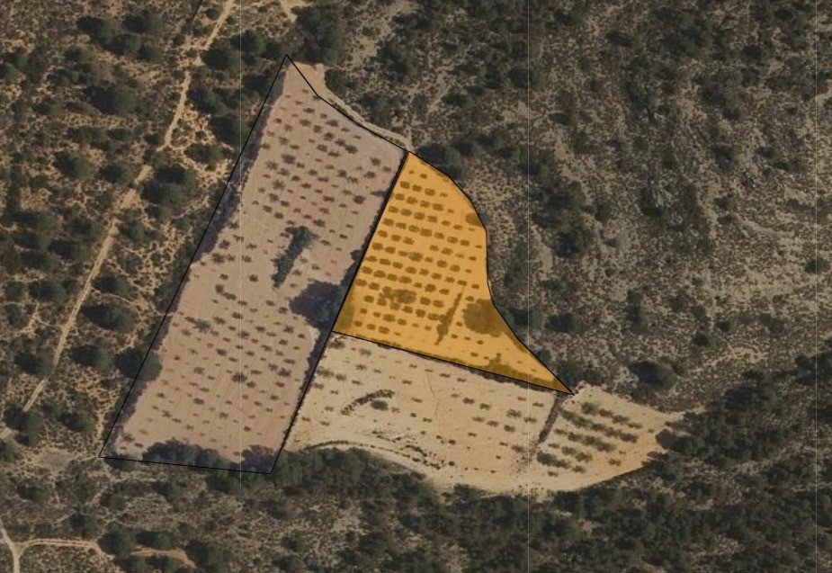 Land in Yecla