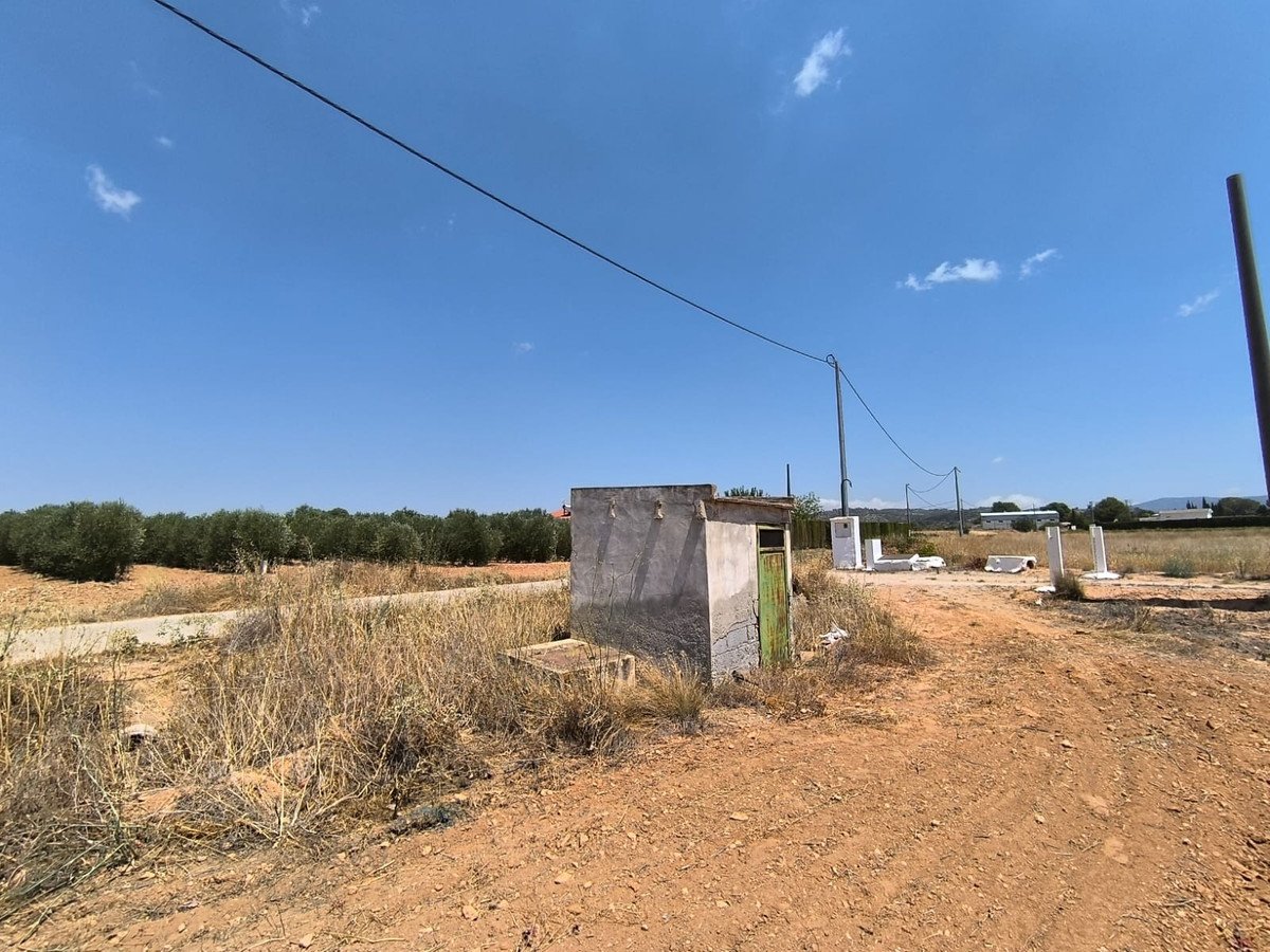 Land in Yecla