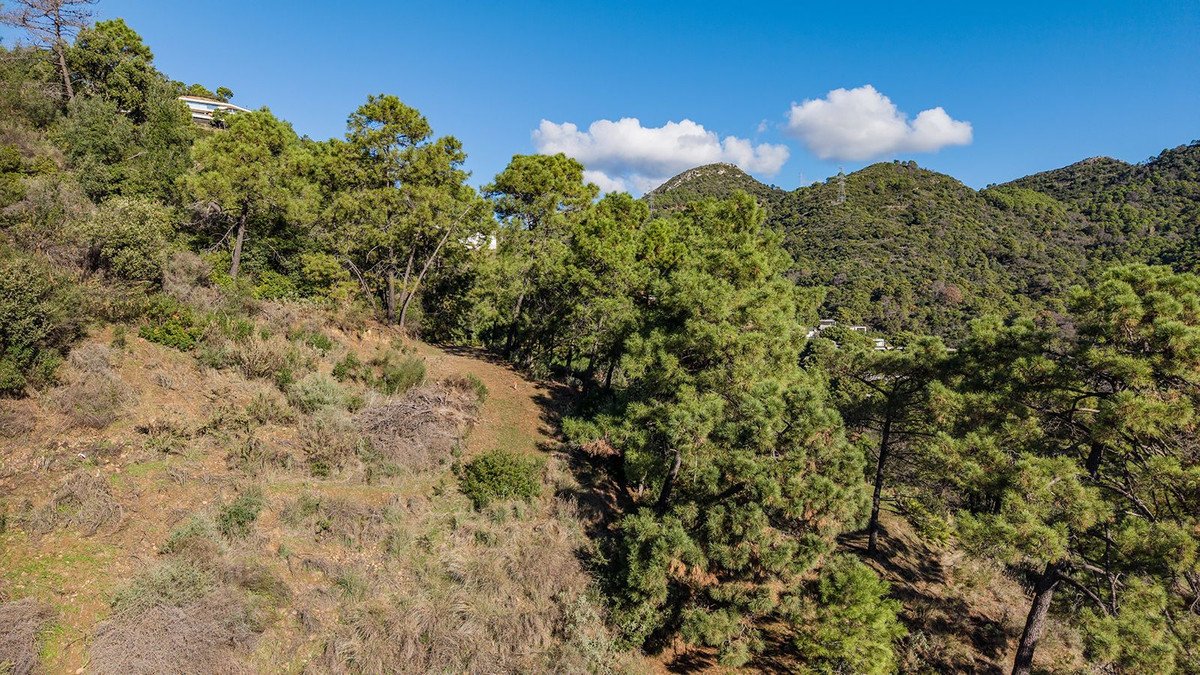 Residential Plot in Benahavís