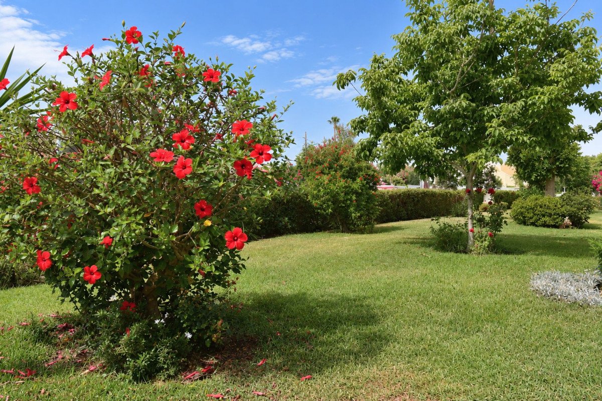 2 Bed Middle Floor Apartment in El Chaparral