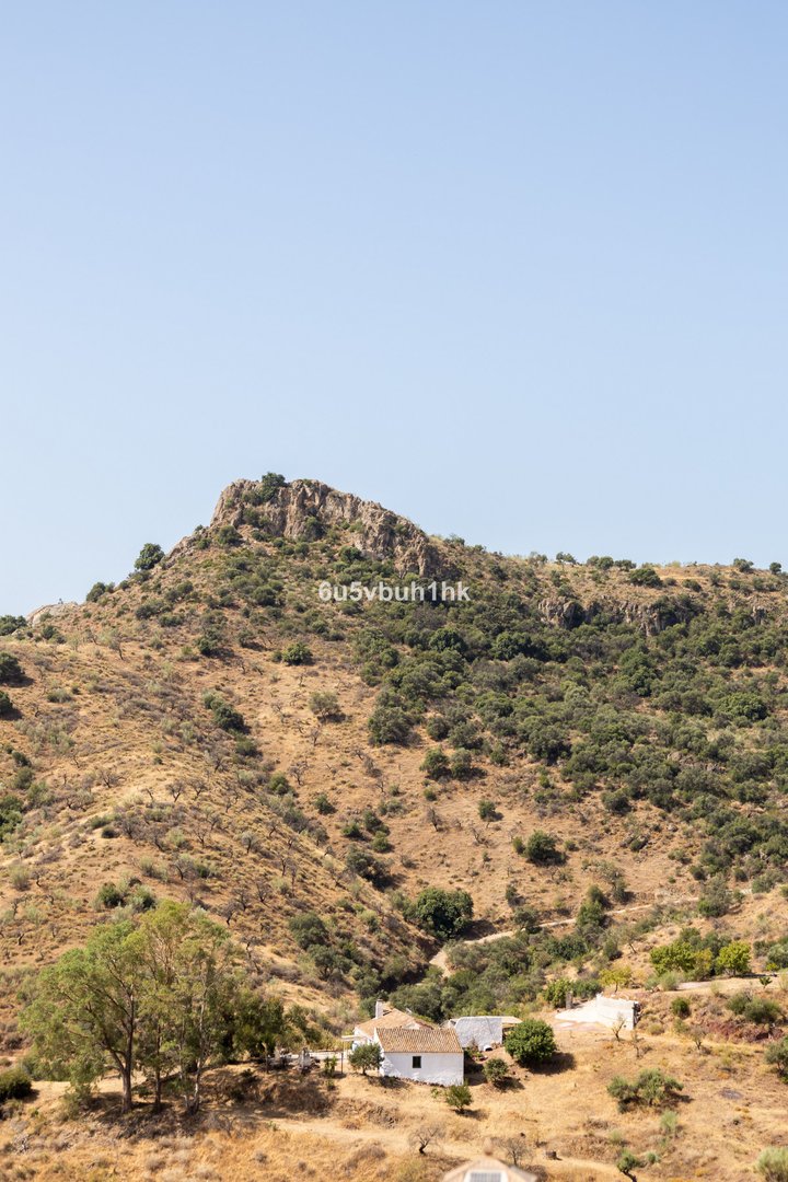 5 Bed Finca - Cortijo in Almogía