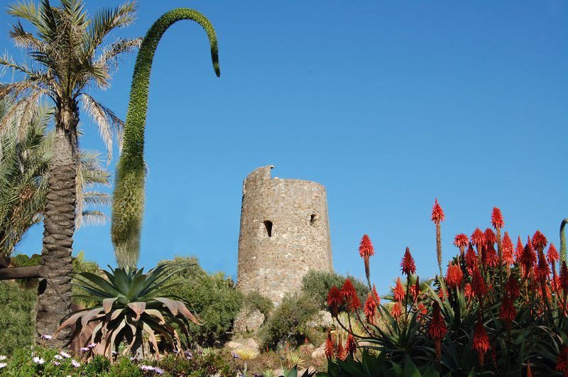 3 Bed Ground Floor Apartment in Estepona