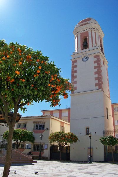 3 Bed Ground Floor Apartment in Estepona