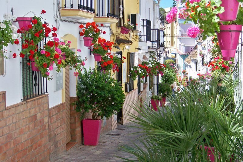3 Bed Ground Floor Apartment in Estepona