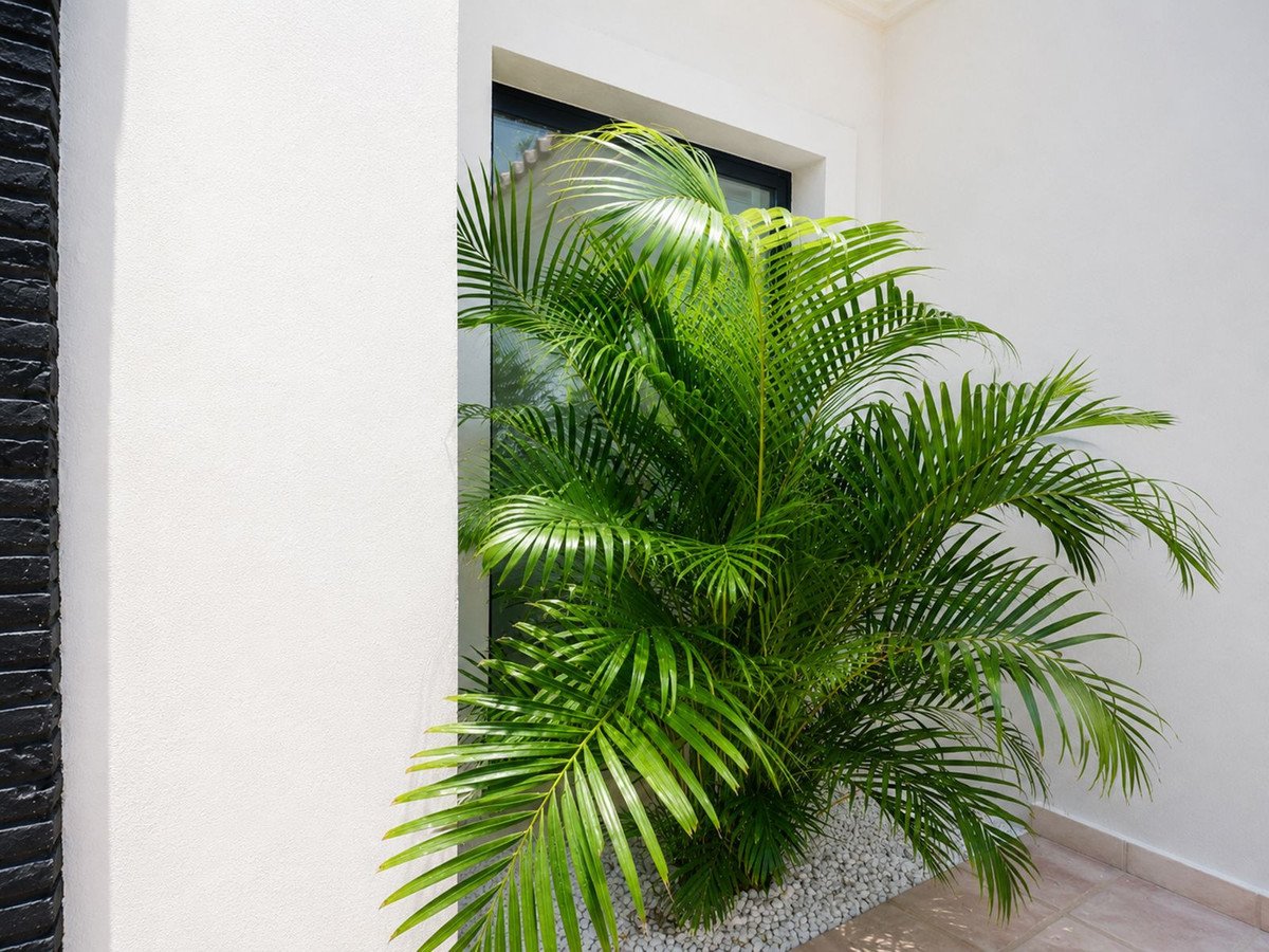6 Bed Detached Villa in El Paraiso
