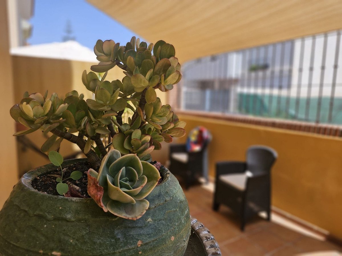 5 Bed Detached Villa in Los Pacos