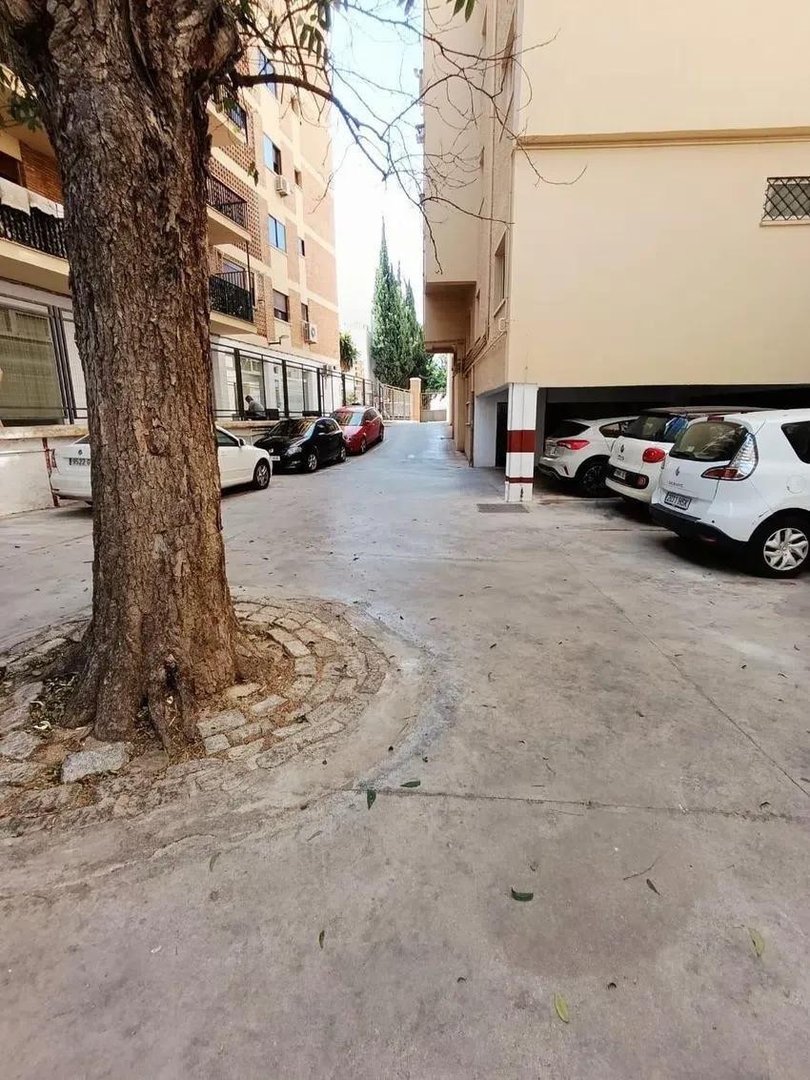 3 Bed Ground Floor Apartment in Málaga Este