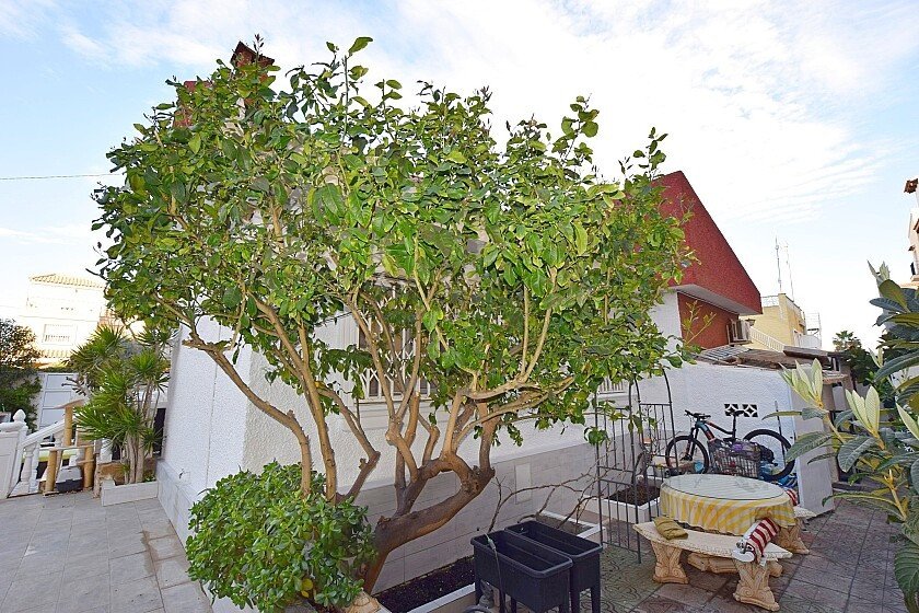 3 Bed Detached Villa in Torrevieja