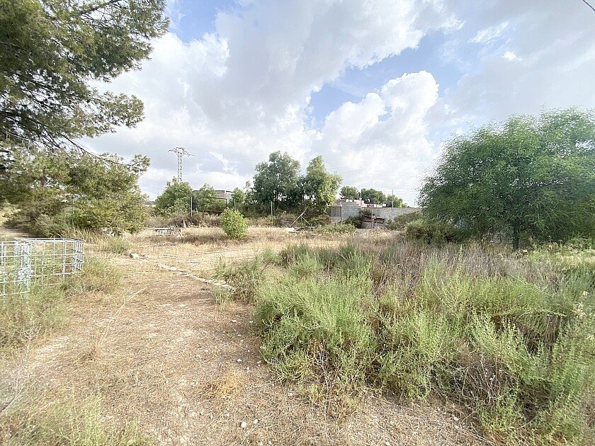 4 Bed Detached Villa in Crevillent