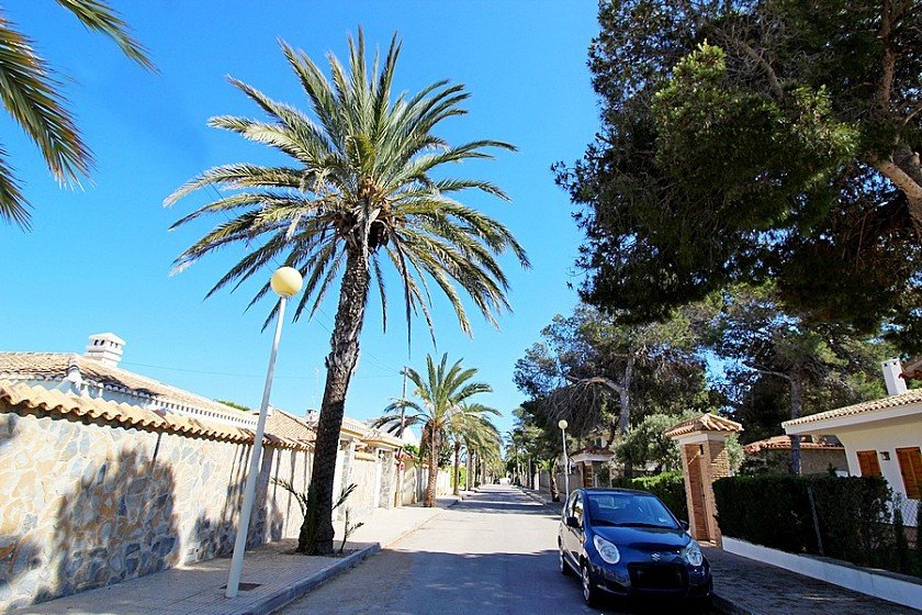 5 Bed Detached Villa in Cabo Roig