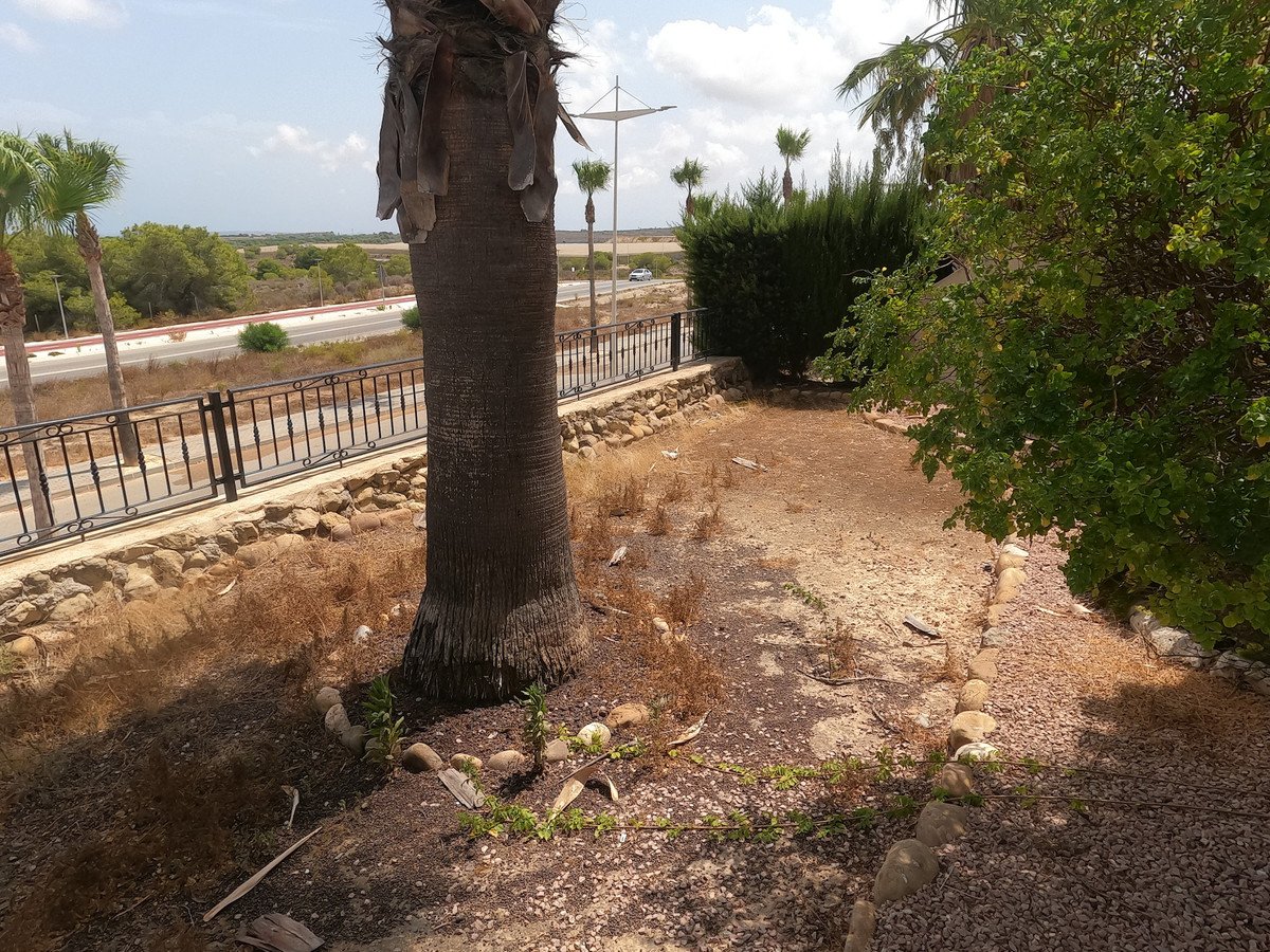 2 Bed Ground Floor Apartment in Algorfa