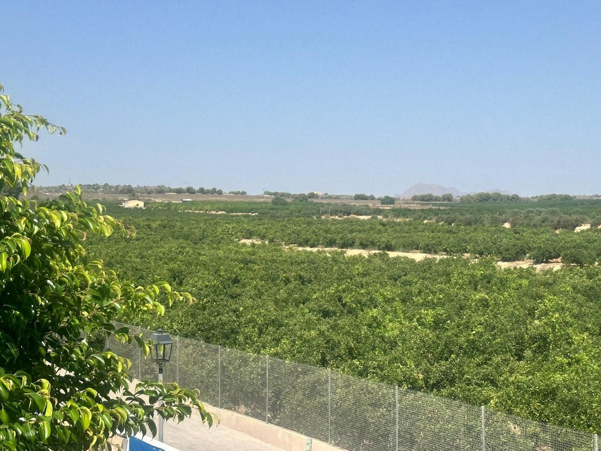 3 Bed Detached Villa in Algorfa
