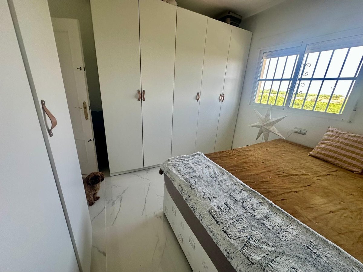 3 Bed Detached Villa in Algorfa