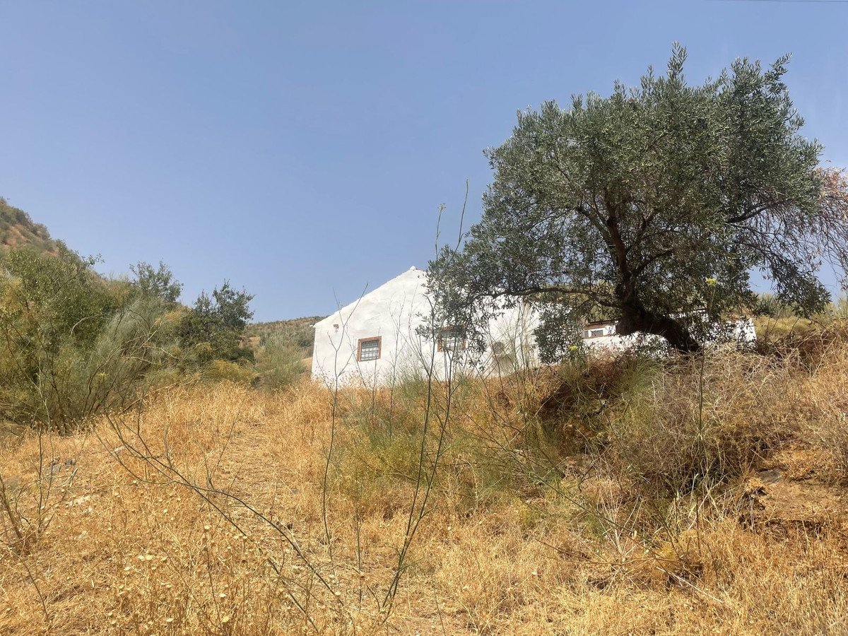 3 Bed Detached Villa in Alora