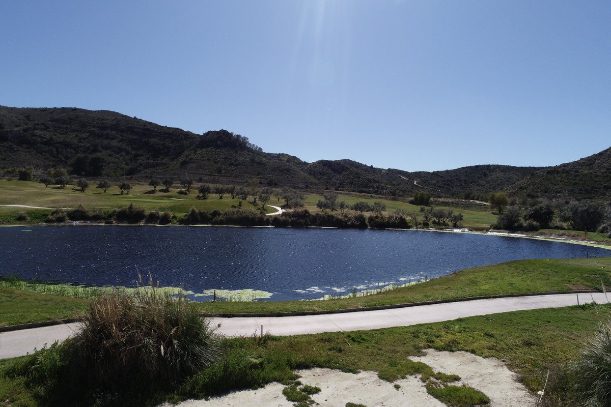 4 Bed New Development in Monforte Del Cid