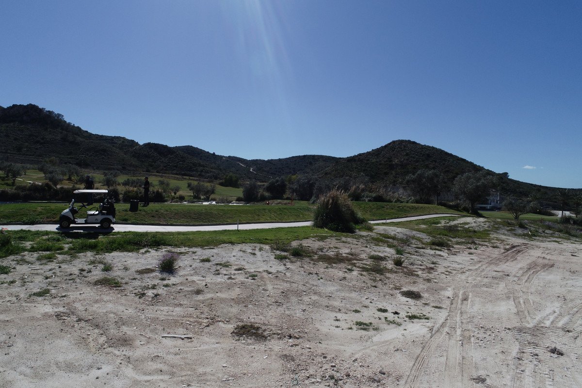 4 Bed New Development in Monforte Del Cid