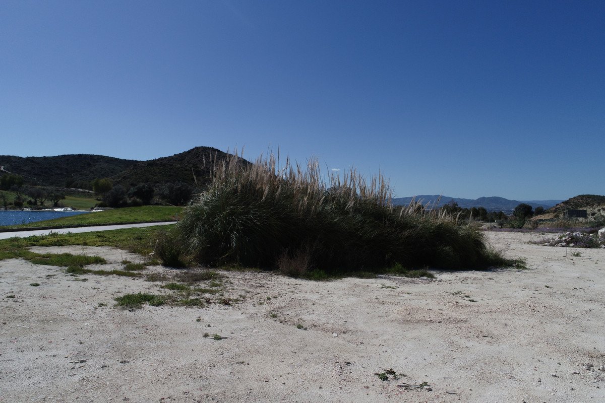 4 Bed New Development in Monforte Del Cid