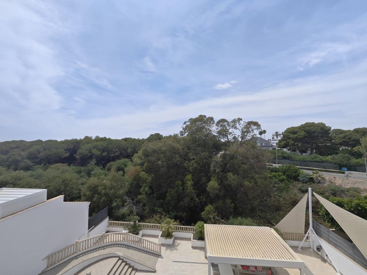 4 Bed Detached Villa in Campoamor