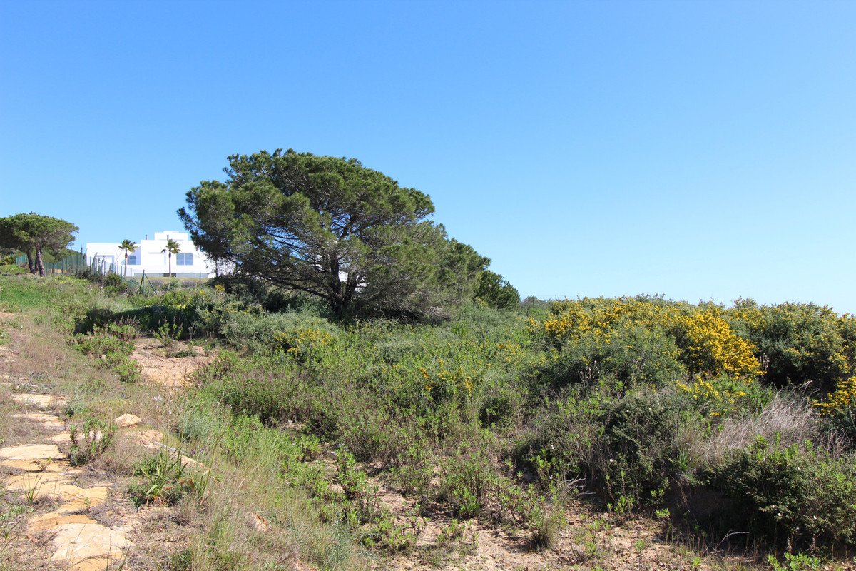 6 Bed Detached Villa in Sotogrande