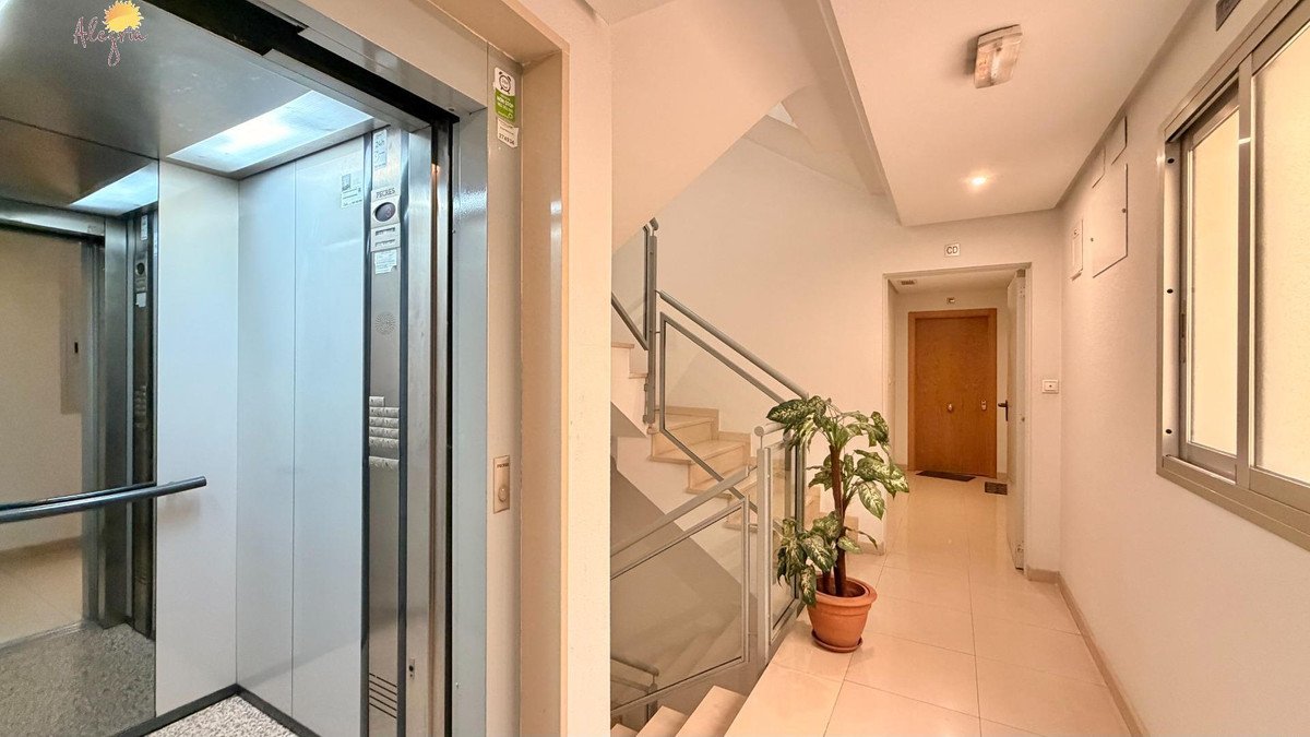 1 Bed Property in Torrevieja